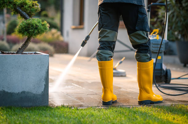 Reliable Harvey, LA Pressure Washing Solutions